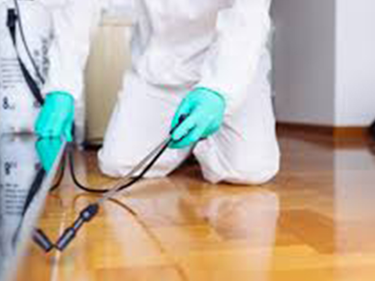 exterminator services