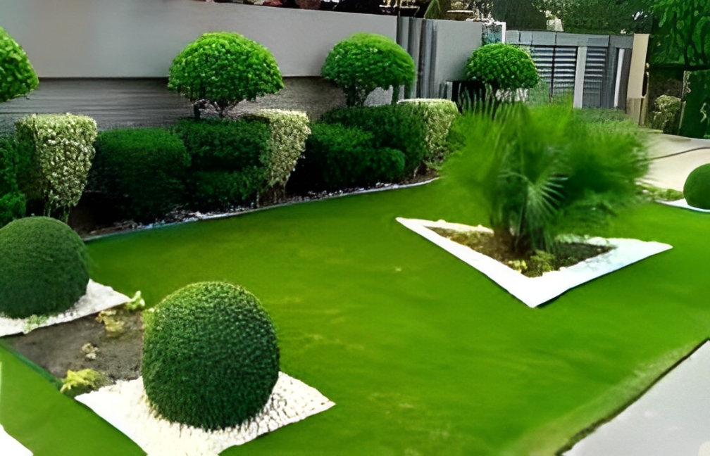 yard and lawn maintenance
